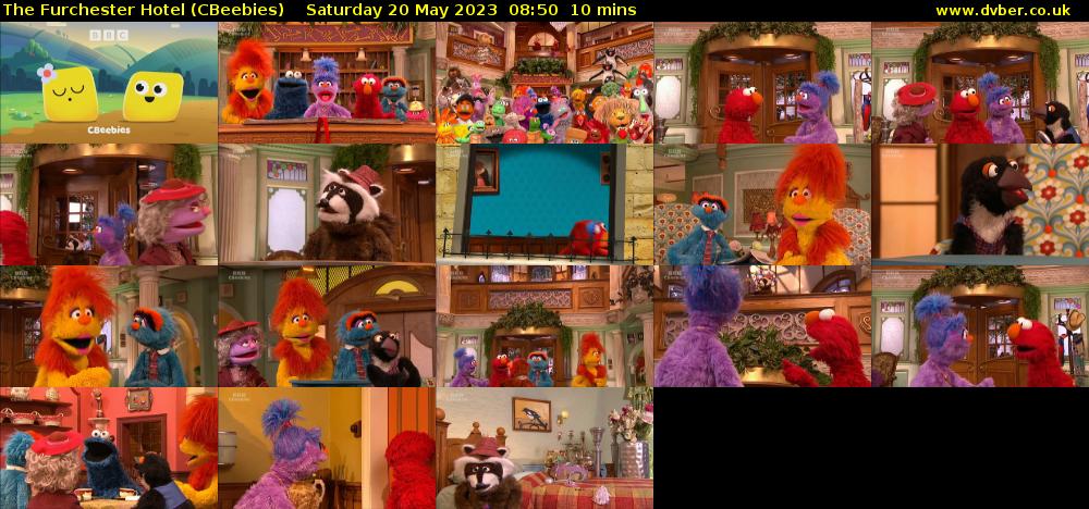 The Furchester Hotel (CBeebies) Saturday 20 May 2023 08:50 - 09:00