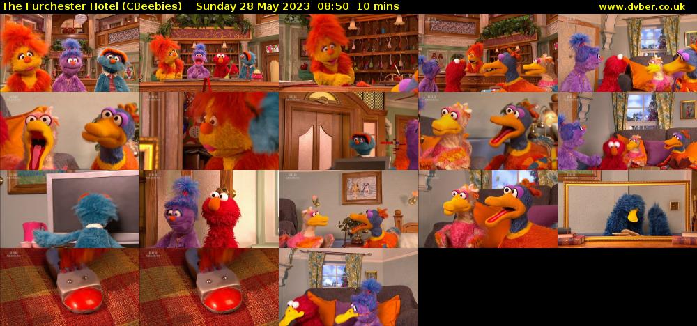 The Furchester Hotel (CBeebies) Sunday 28 May 2023 08:50 - 09:00