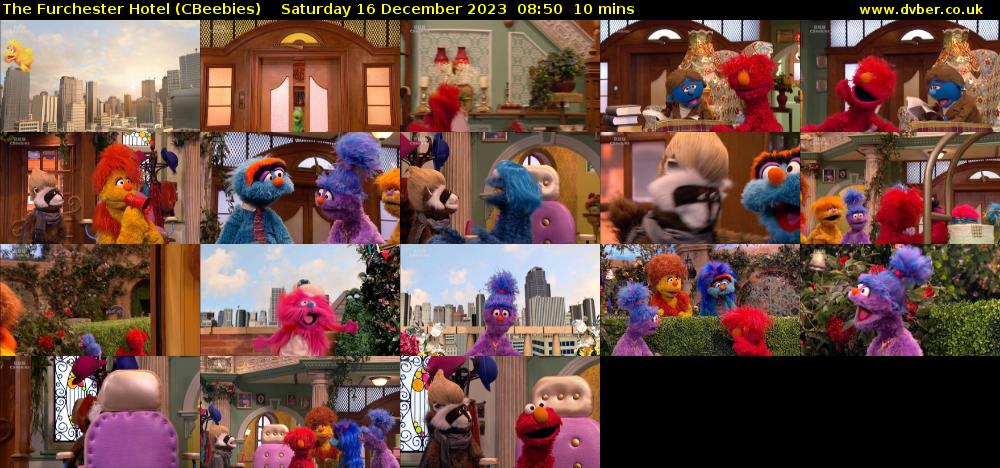 The Furchester Hotel (CBeebies) Saturday 16 December 2023 08:50 - 09:00