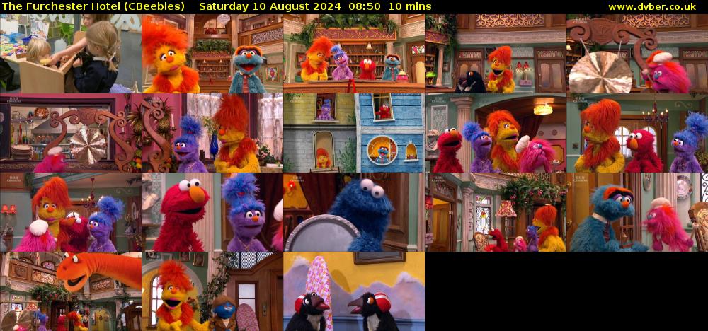 The Furchester Hotel (CBeebies) Saturday 10 August 2024 08:50 - 09:00