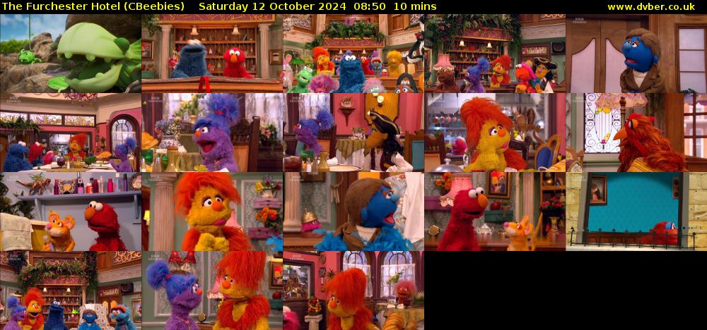 The Furchester Hotel (CBeebies) Saturday 12 October 2024 08:50 - 09:00