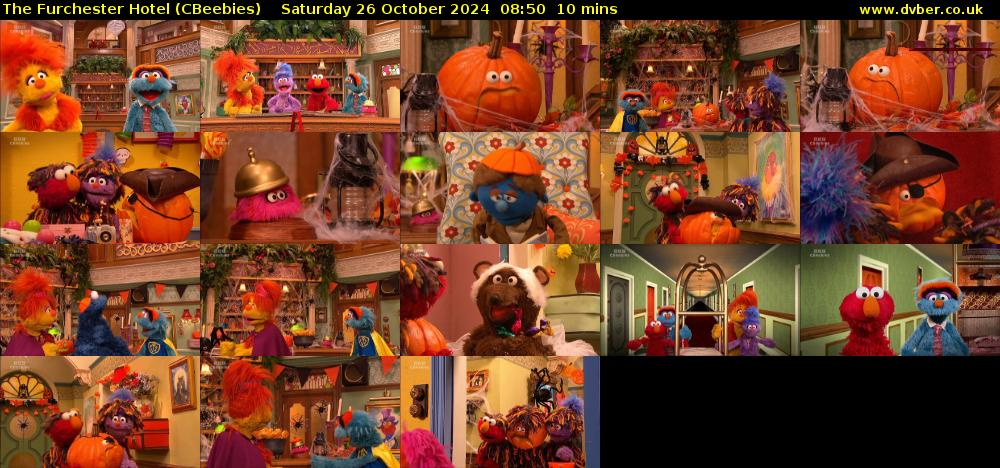 The Furchester Hotel (CBeebies) Saturday 26 October 2024 08:50 - 09:00