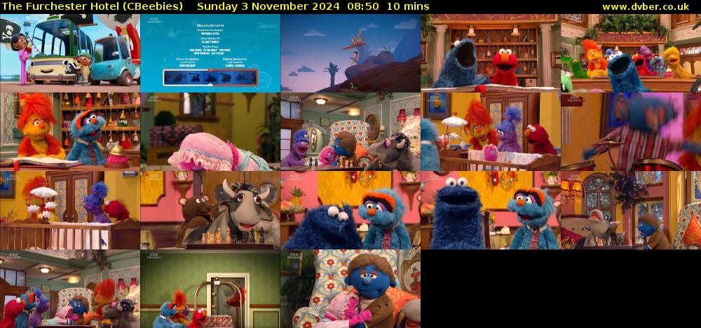 The Furchester Hotel (CBeebies) Sunday 3 November 2024 08:50 - 09:00