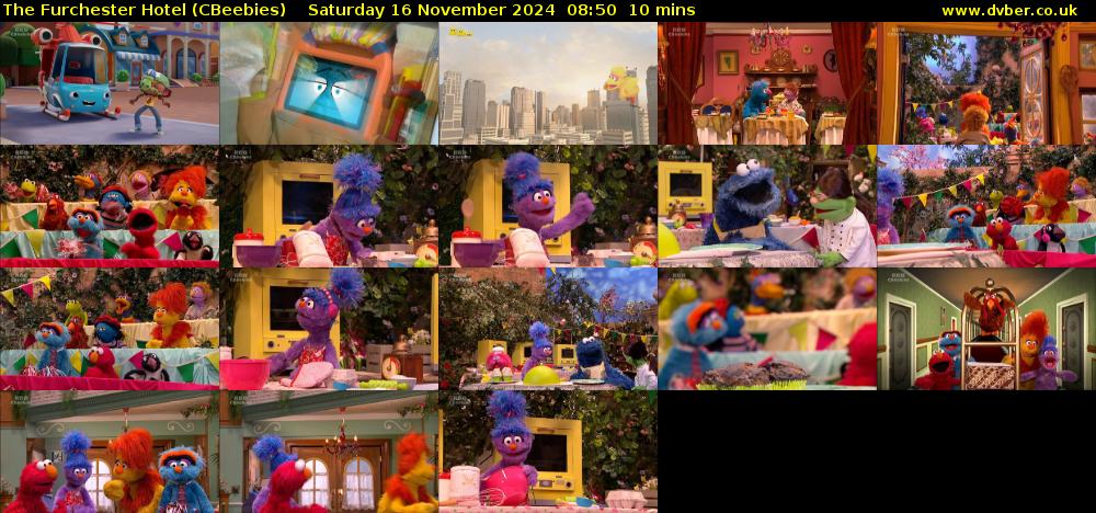 The Furchester Hotel (CBeebies) Saturday 16 November 2024 08:50 - 09:00