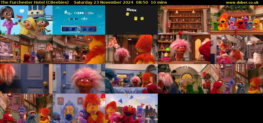 The Furchester Hotel (CBeebies) Saturday 23 November 2024 08:50 - 09:00