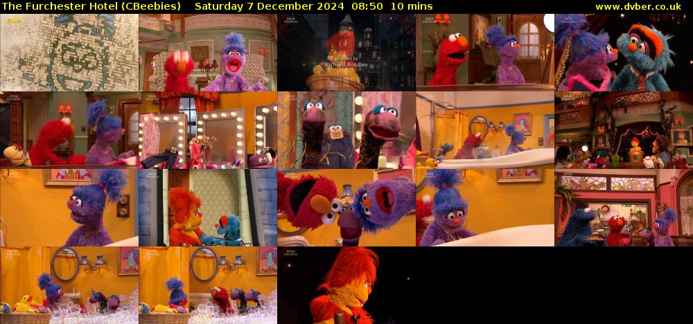 The Furchester Hotel (CBeebies) Saturday 7 December 2024 08:50 - 09:00