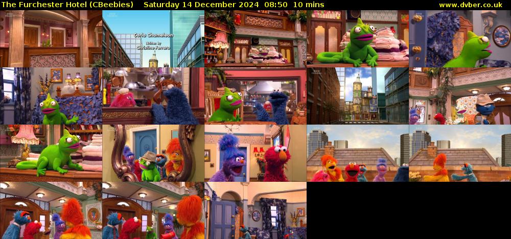 The Furchester Hotel (CBeebies) Saturday 14 December 2024 08:50 - 09:00