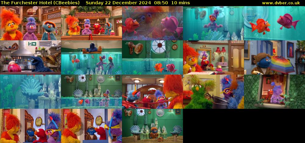 The Furchester Hotel (CBeebies) Sunday 22 December 2024 08:50 - 09:00