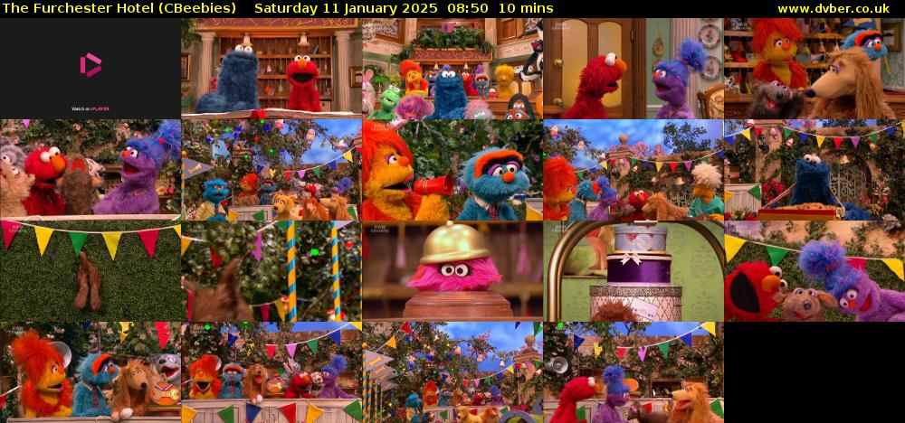 The Furchester Hotel (CBeebies) Saturday 11 January 2025 08:50 - 09:00