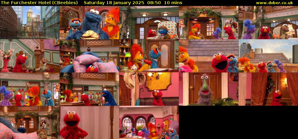 The Furchester Hotel (CBeebies) Saturday 18 January 2025 08:50 - 09:00