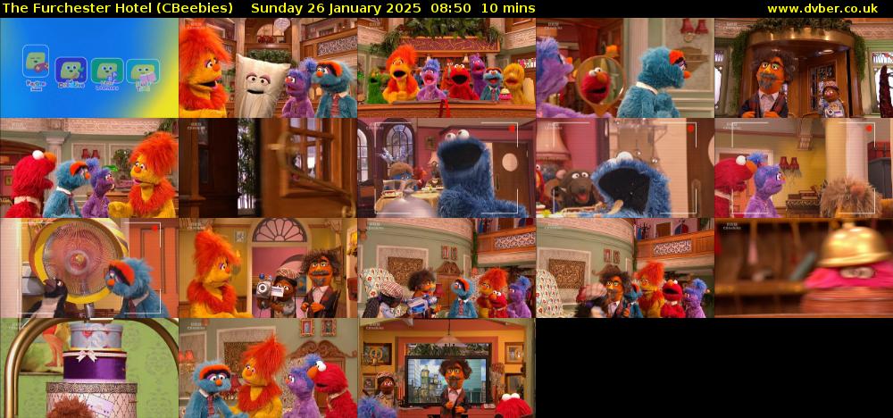 The Furchester Hotel (CBeebies) Sunday 26 January 2025 08:50 - 09:00