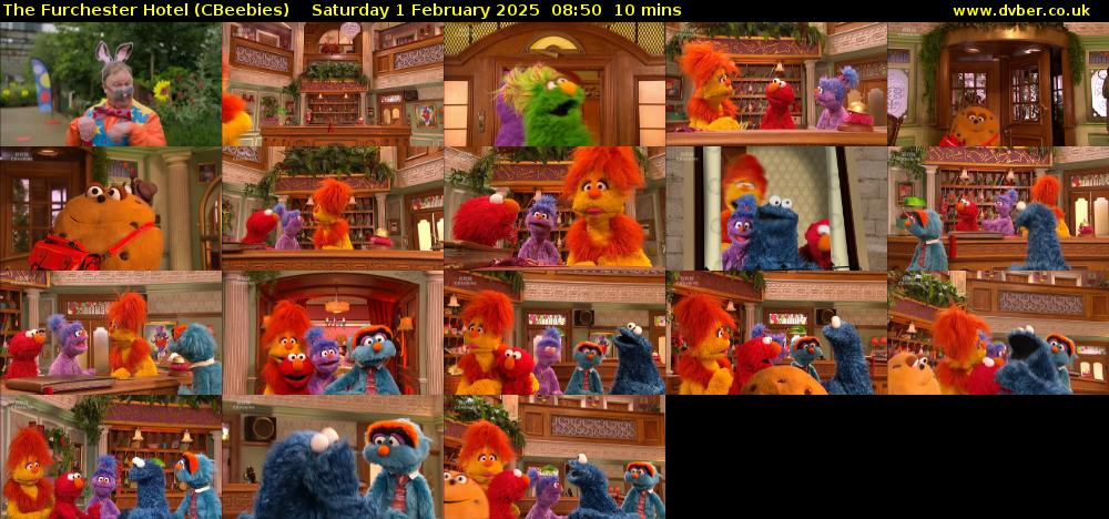 The Furchester Hotel (CBeebies) Saturday 1 February 2025 08:50 - 09:00