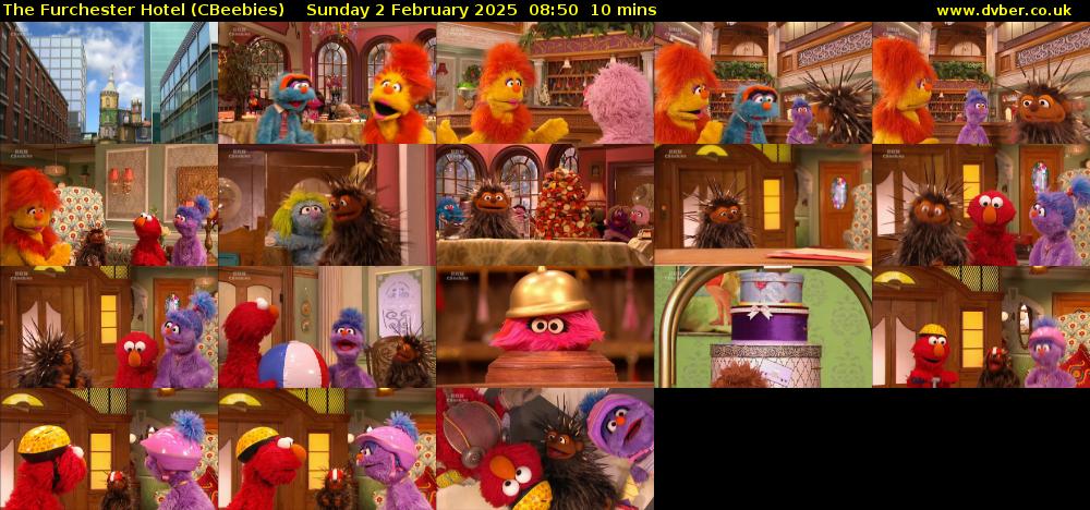 The Furchester Hotel (CBeebies) Sunday 2 February 2025 08:50 - 09:00