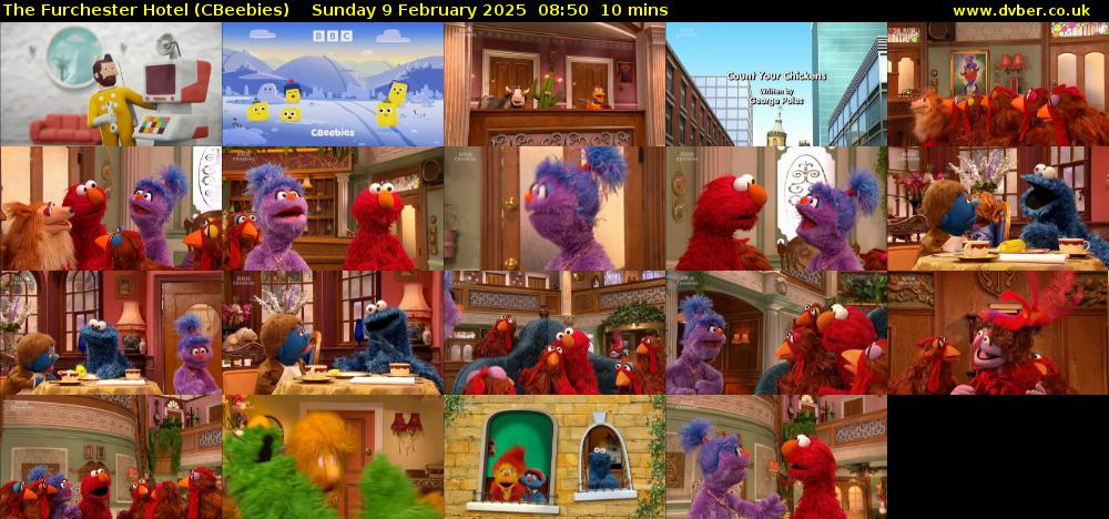 The Furchester Hotel (CBeebies) Sunday 9 February 2025 08:50 - 09:00