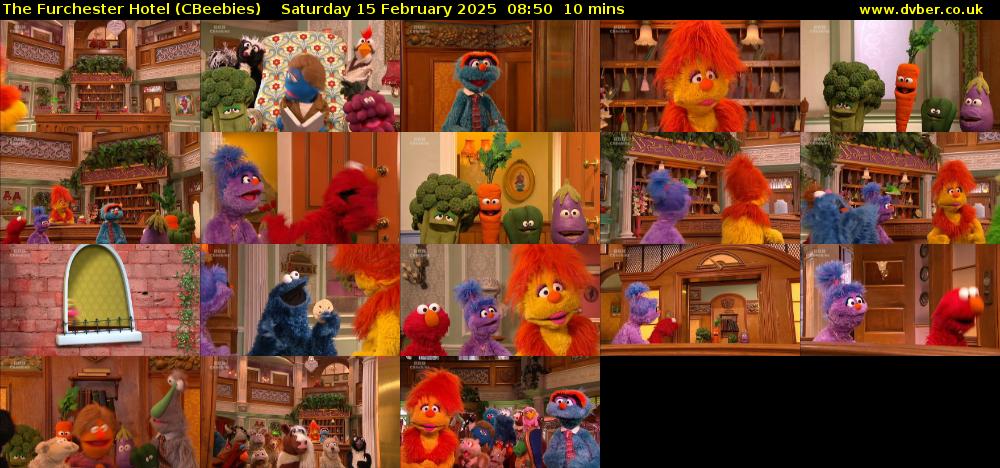 The Furchester Hotel (CBeebies) Saturday 15 February 2025 08:50 - 09:00