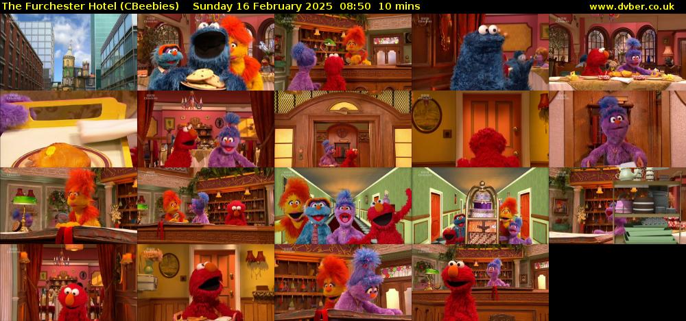 The Furchester Hotel (CBeebies) Sunday 16 February 2025 08:50 - 09:00