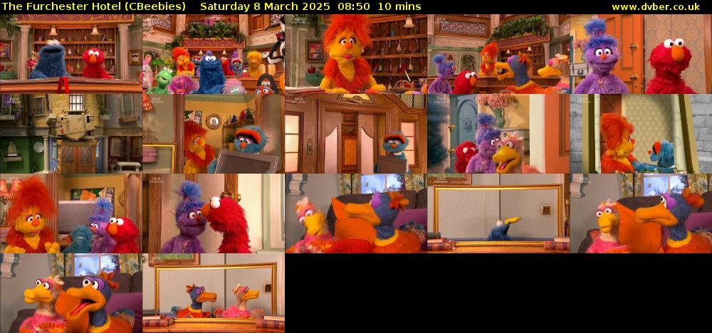 The Furchester Hotel (CBeebies) Saturday 8 March 2025 08:50 - 09:00