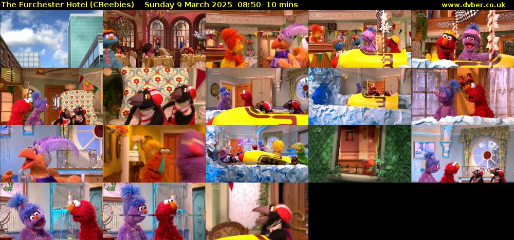 The Furchester Hotel (CBeebies) Sunday 9 March 2025 08:50 - 09:00