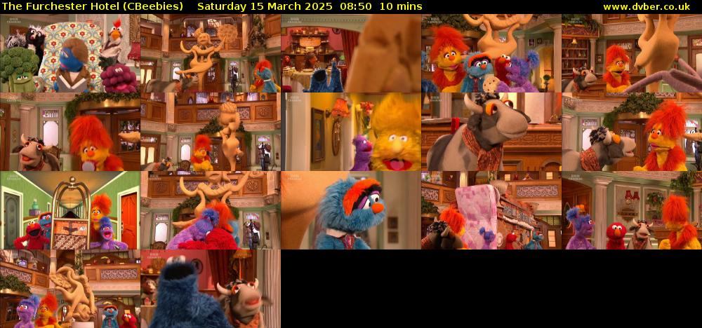 The Furchester Hotel (CBeebies) Saturday 15 March 2025 08:50 - 09:00