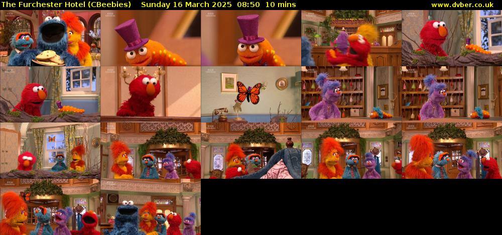 The Furchester Hotel (CBeebies) Sunday 16 March 2025 08:50 - 09:00