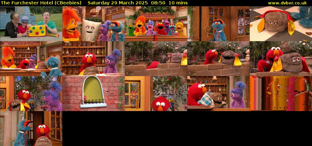 The Furchester Hotel (CBeebies) Saturday 29 March 2025 08:50 - 09:00
