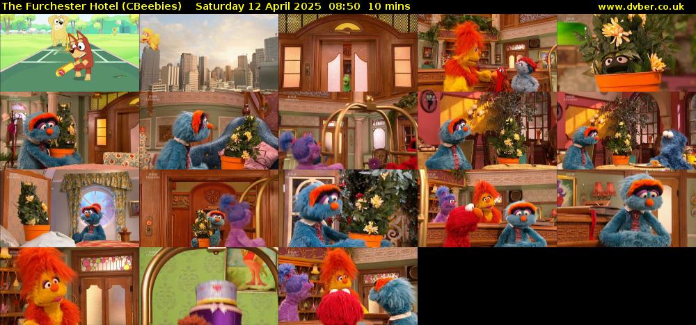 The Furchester Hotel (CBeebies) Saturday 12 April 2025 08:50 - 09:00