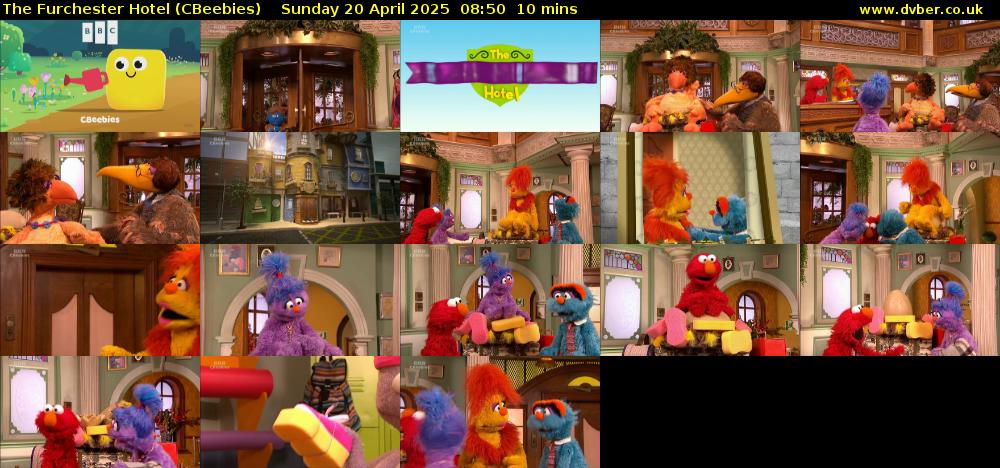 The Furchester Hotel (CBeebies) Sunday 20 April 2025 08:50 - 09:00