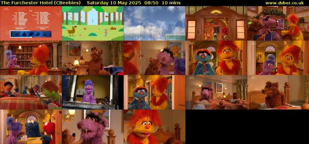 The Furchester Hotel (CBeebies) Saturday 10 May 2025 08:50 - 09:00