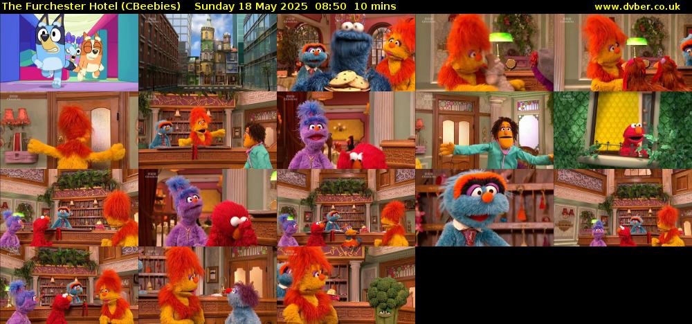 The Furchester Hotel (CBeebies) Sunday 18 May 2025 08:50 - 09:00
