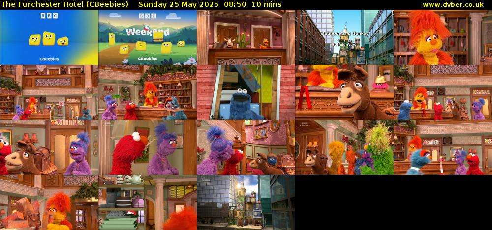 The Furchester Hotel (CBeebies) Sunday 25 May 2025 08:50 - 09:00