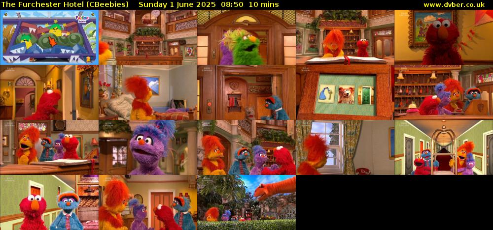 The Furchester Hotel (CBeebies) Sunday 1 June 2025 08:50 - 09:00