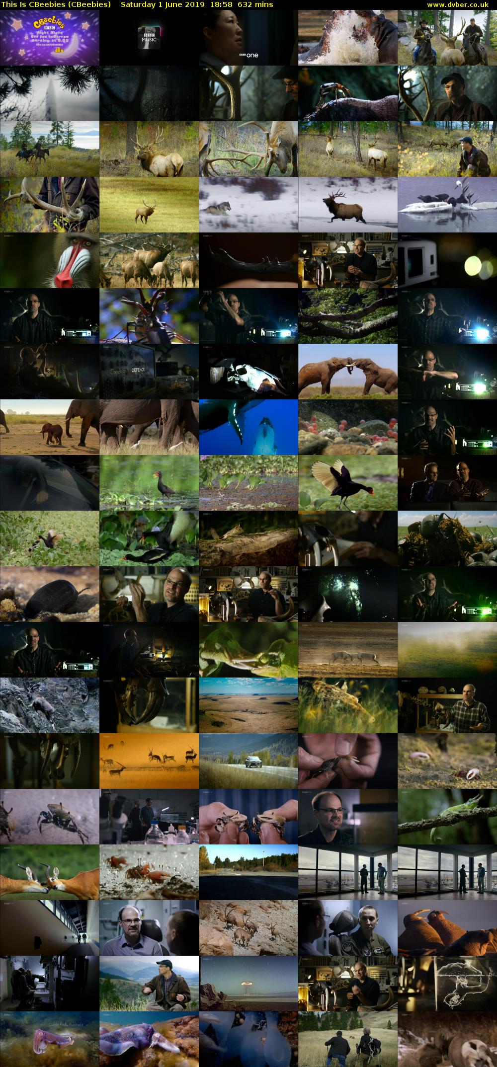 This Is CBeebies (CBeebies) Saturday 1 June 2019 18:58 - 05:30