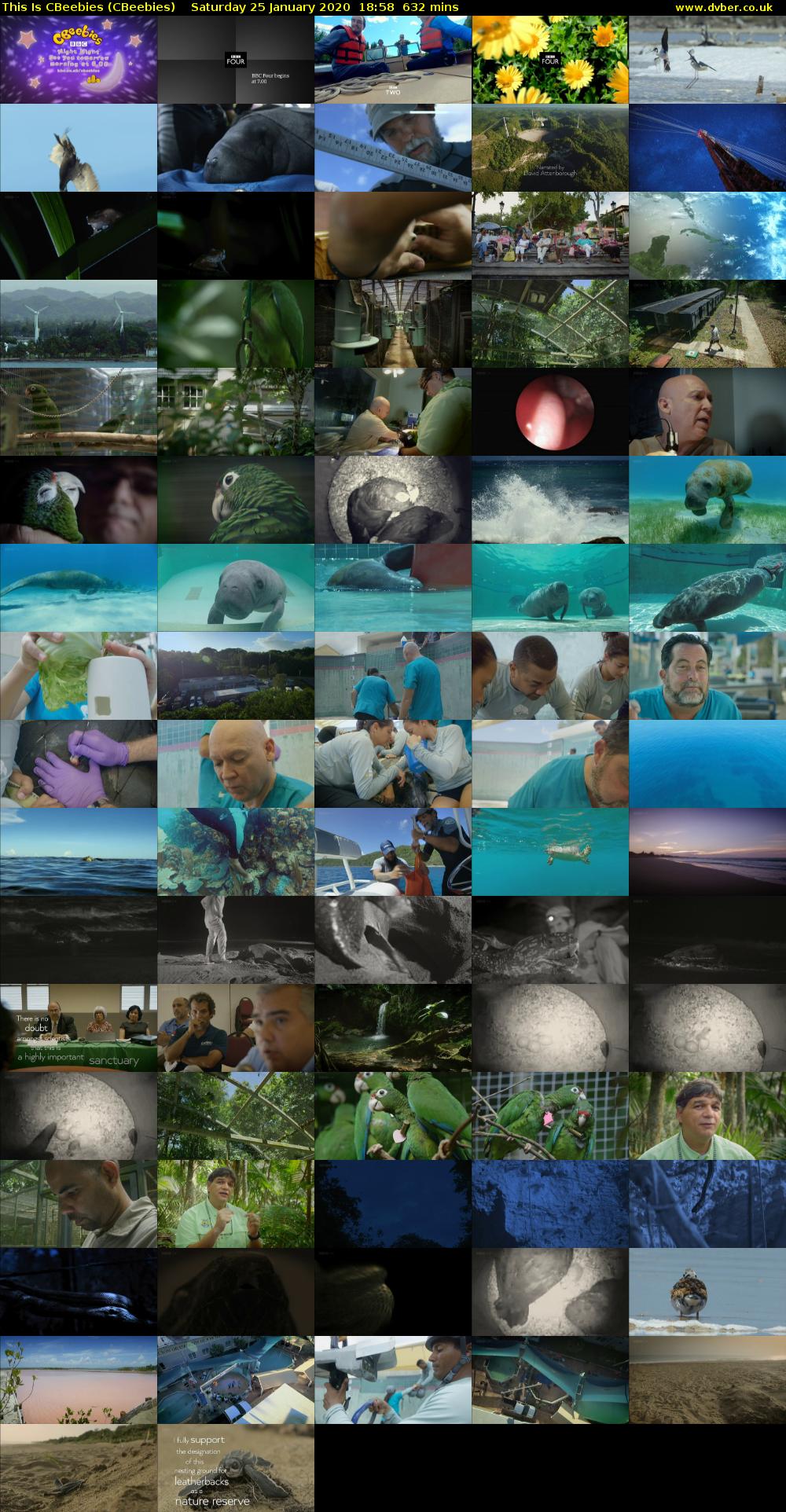 This Is CBeebies (CBeebies) Saturday 25 January 2020 18:58 - 05:30