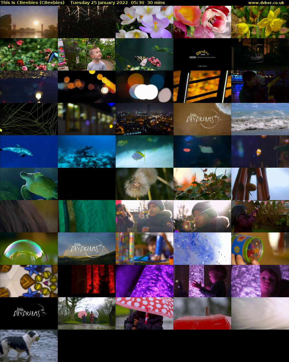 This Is CBeebies (CBeebies) Tuesday 25 January 2022 05:30 - 06:00