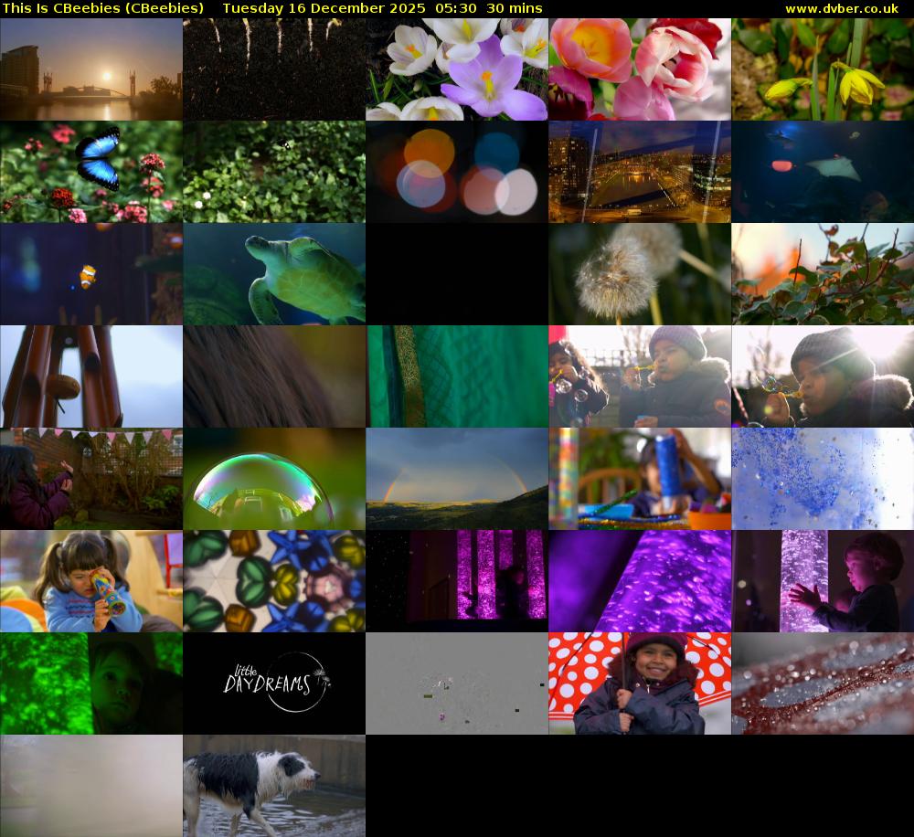 This Is CBeebies (CBeebies) Tuesday 16 December 2025 05:30 - 06:00