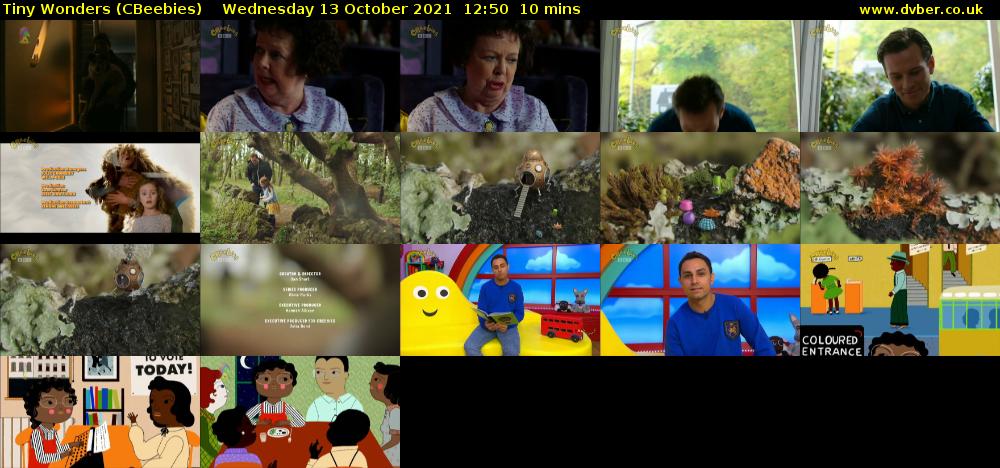 Tiny Wonders (CBeebies) Wednesday 13 October 2021 12:50 - 13:00