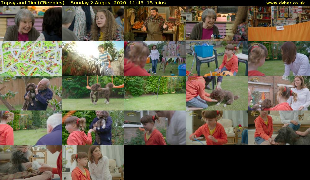 Topsy and Tim (CBeebies) Sunday 2 August 2020 11:45 - 12:00