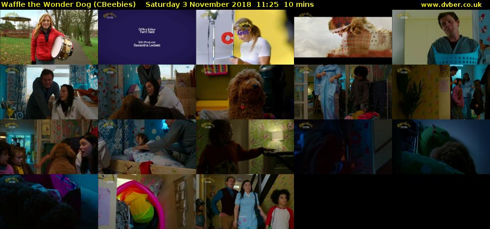 Waffle the Wonder Dog (CBeebies) Saturday 3 November 2018 11:25 - 11:35