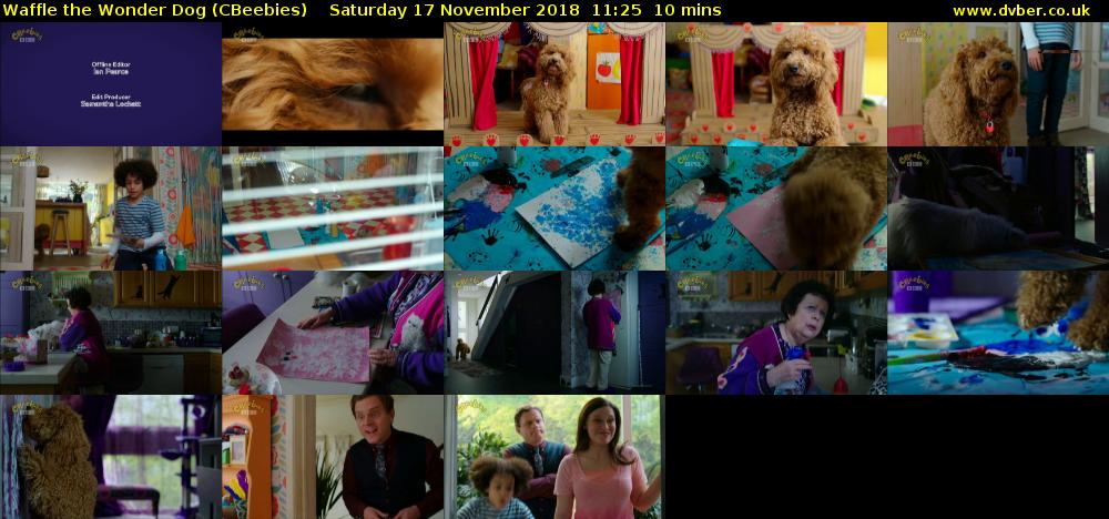 Waffle the Wonder Dog (CBeebies) Saturday 17 November 2018 11:25 - 11:35