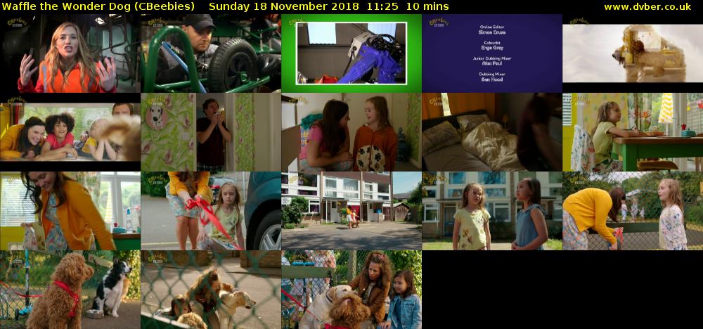 Waffle the Wonder Dog (CBeebies) Sunday 18 November 2018 11:25 - 11:35