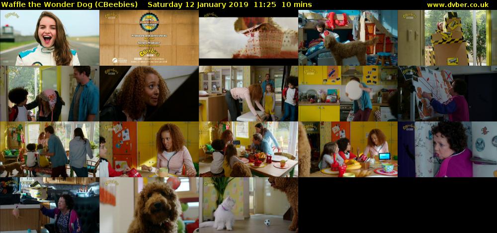 Waffle the Wonder Dog (CBeebies) Saturday 12 January 2019 11:25 - 11:35