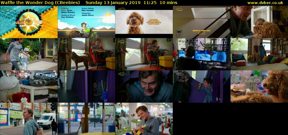 Waffle the Wonder Dog (CBeebies) Sunday 13 January 2019 11:25 - 11:35