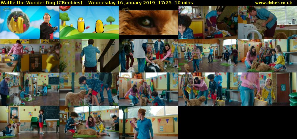 Waffle the Wonder Dog (CBeebies) Wednesday 16 January 2019 17:25 - 17:35