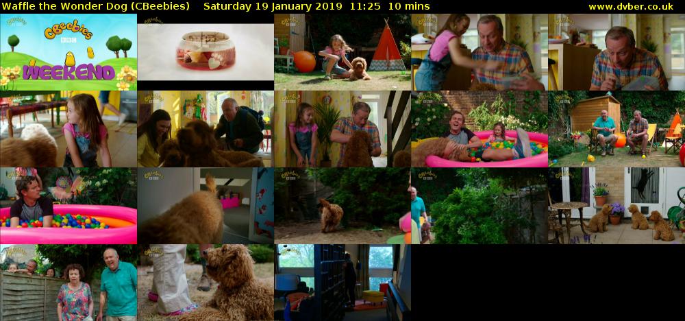Waffle the Wonder Dog (CBeebies) Saturday 19 January 2019 11:25 - 11:35