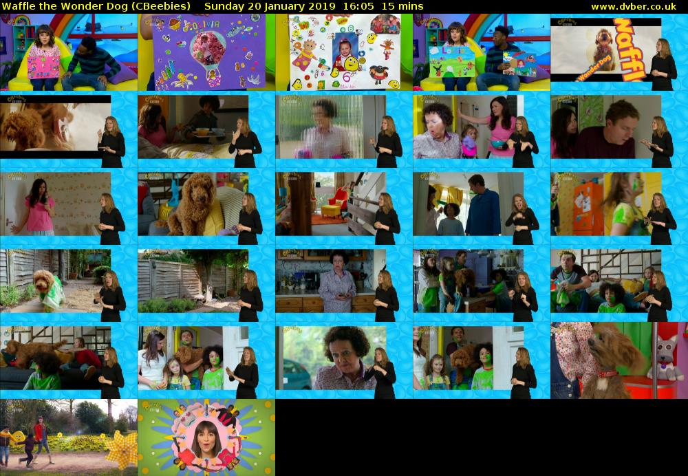 Waffle the Wonder Dog (CBeebies) - 2019-01-20-1605