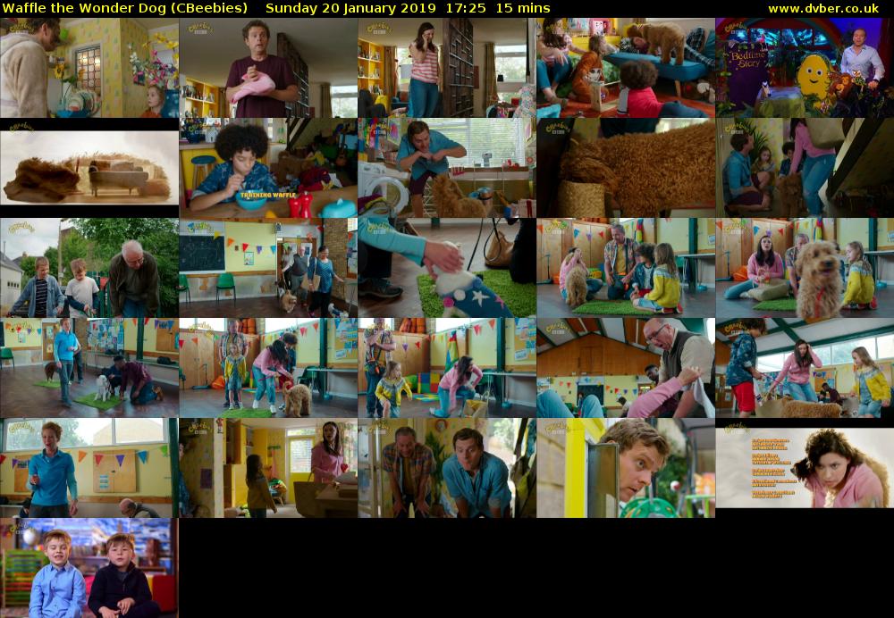 Waffle the Wonder Dog (CBeebies) Sunday 20 January 2019 17:25 - 17:40