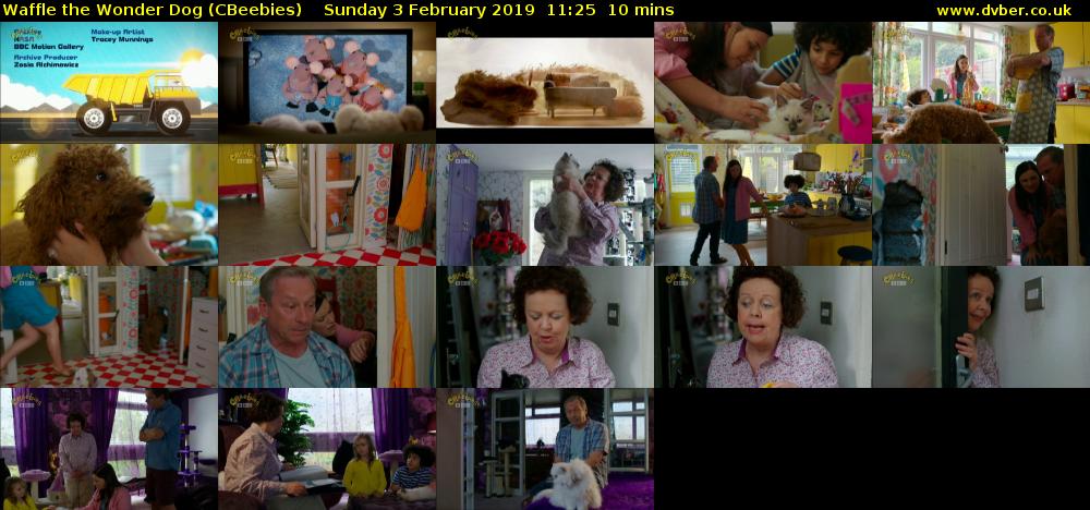 Waffle the Wonder Dog (CBeebies) Sunday 3 February 2019 11:25 - 11:35
