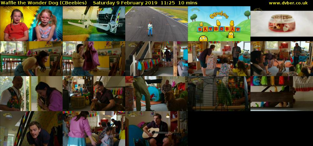 Waffle the Wonder Dog (CBeebies) - 2019-02-09-1125
