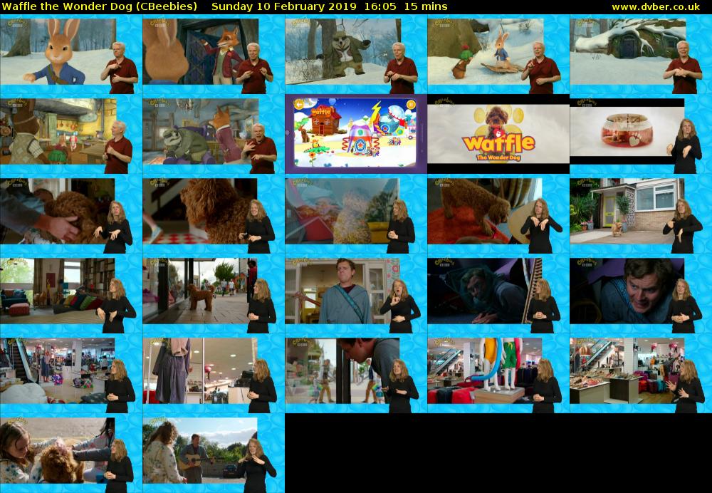 Waffle the Wonder Dog (CBeebies) Sunday 10 February 2019 16:05 - 16:20