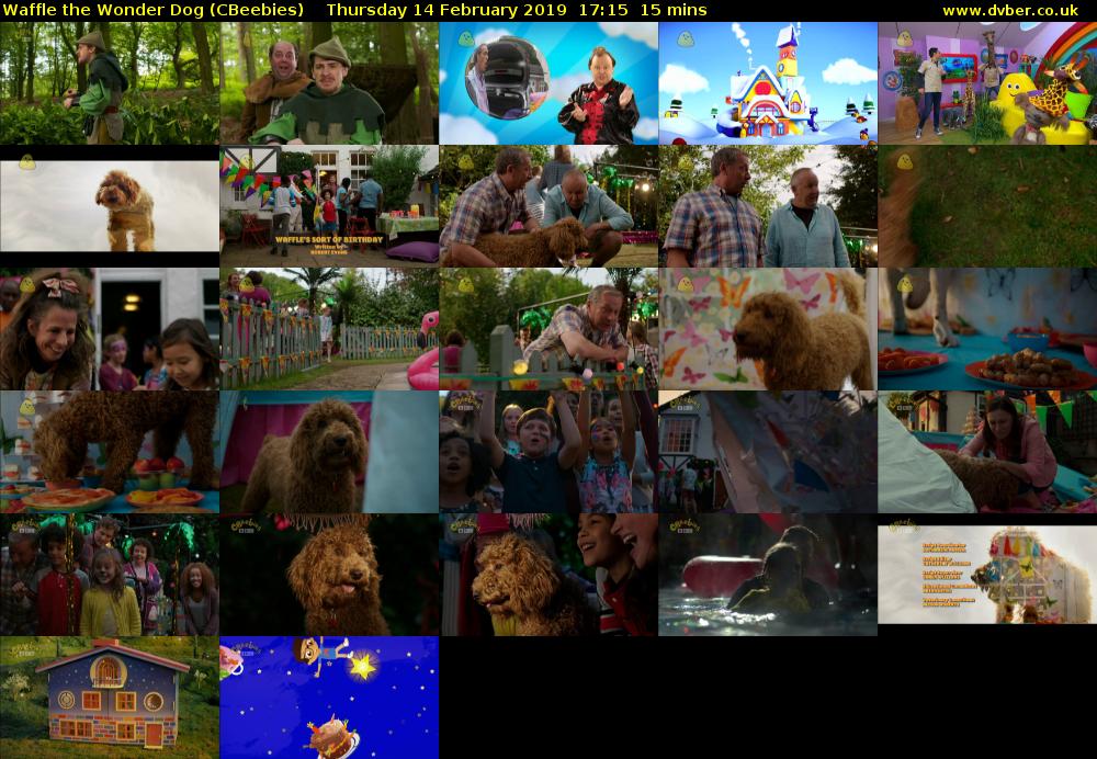 Waffle the Wonder Dog (CBeebies) Thursday 14 February 2019 17:15 - 17:30